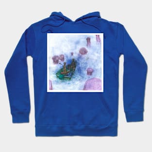 Mysterious jellyfish Hoodie